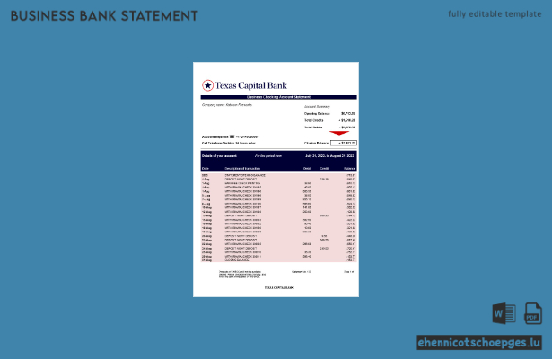 Texas Capital Bank Firmenkontoauszug – Beispielansicht (Word und PDF)
